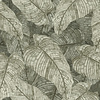 Rasch Amara - 720549