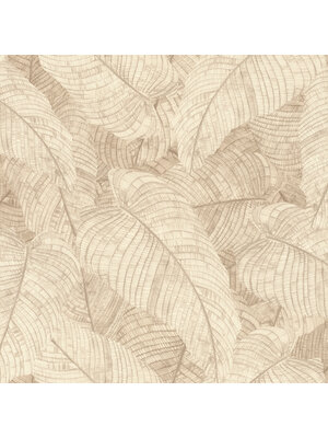 Rasch Amara - 720556