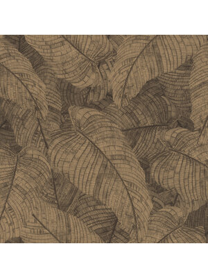 Rasch Amara - 720570 Rasch Amara - 720570