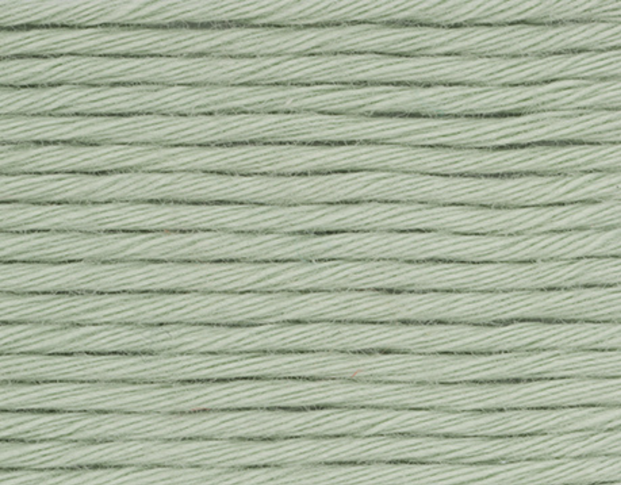 Stylecraft Stylecraft Naturals Organic Cotton 7193 Artichoke