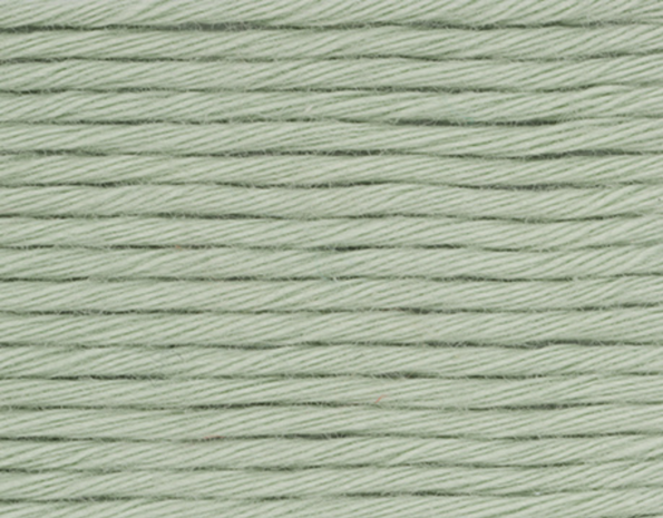 Stylecraft Stylecraft Naturals Organic Cotton 7193 Artichoke