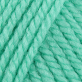 Stylecraft Stylecraft Special Chunky 1422 aspen