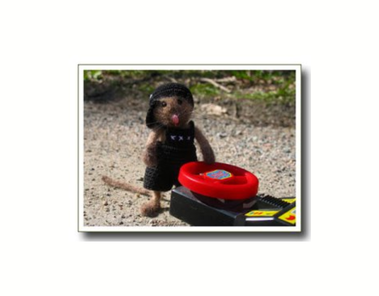 Coole dude... Mighty Mouse Coole dude... Mighty Mouse