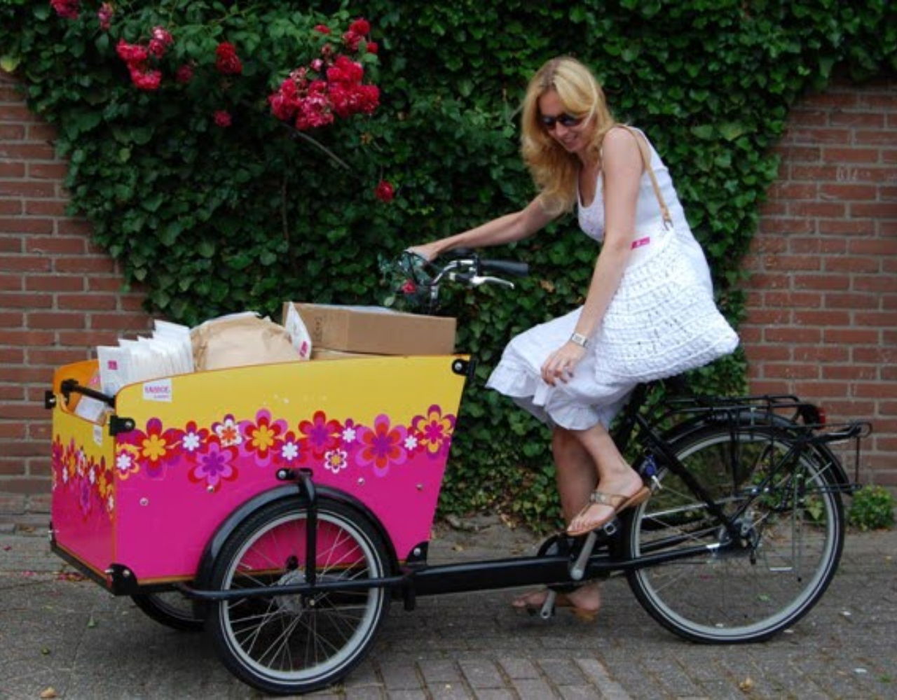 Echtstudio komt naar je toe deze zomer