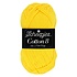 Cotton 8 - 551 Cotton 8 - 551