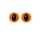 Ogen Kat Transparant Oranje
