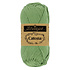Catona - 10g - 212 Sage Green Catona - 10g - 212 Sage Green