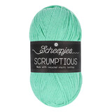 Scheepjes Scrumptious - 340 Mint Whoopie Pie Scheepjes Scrumptious - 340 Mint Whoopie Pie
