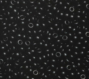 Echtstudio Le Suh Rocailles Borduurkralen