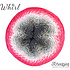 Whirl - 752 Raspberry Rocky Roads Whirl - 752 Raspberry Rocky Roads