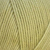 Stylecraft Special DK 2173 Mushy Peas Stylecraft Special DK 2173 Mushy Peas