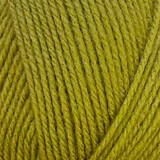 Stylecraft Special DK 2180 Mistletoe