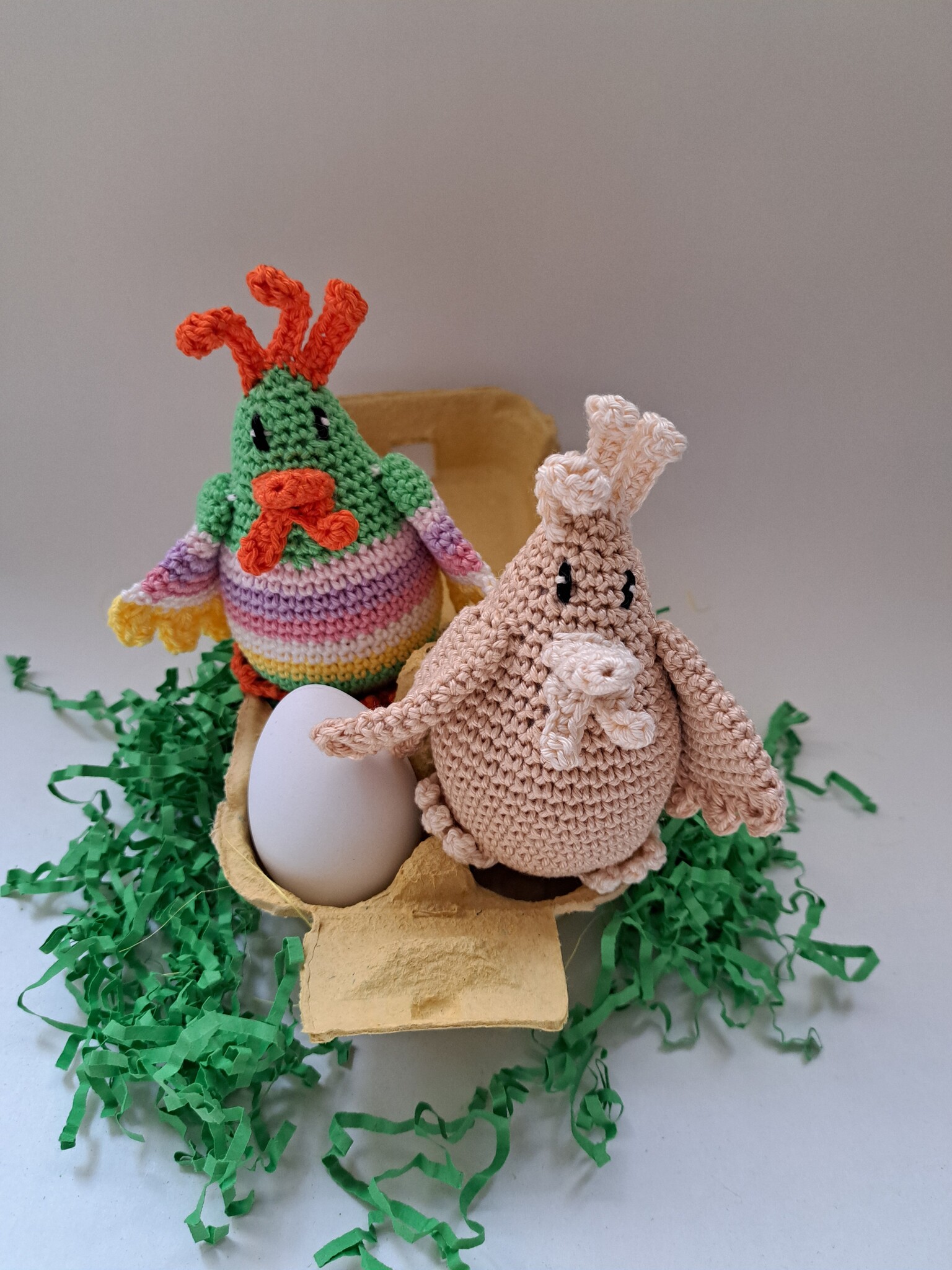 Tok tok tok, twee kippen… met een hele leuke kop! Fleurig kipje Fleurtje en Ei-genwijs kipje Molly.