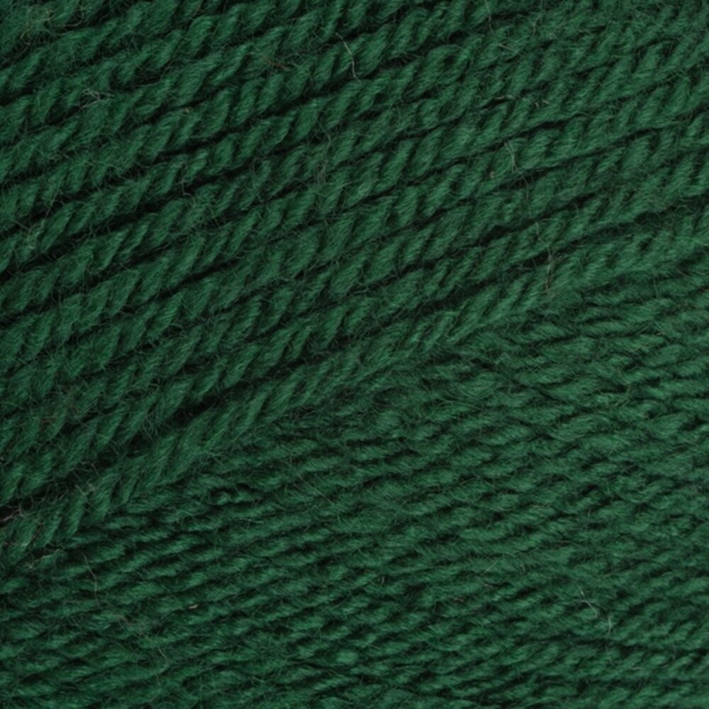 Stylecraft Stylecraft special DK 1009 bottle