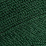 Stylecraft Special DK 1009 bottle Stylecraft Special DK 1009 bottle