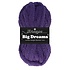 Big Dreams - 510 Fantasy Big Dreams - 510 Fantasy