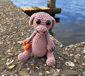 Byclaire Wetterhoun/zeehond Binne Byclaire Wetterhoun/zeehond Binne