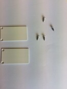 2 x LED profiel eindkapjes inclusief schroeven XL06.C3 - WIT