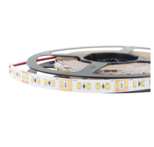 Waterdichte LED Strip 12 Volt 6000k Koud Wit 9,6W 1020lm/meter 120 Led/m IP65 5M Rol
