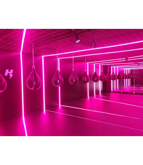 PRO RGBWW - 2700K LED strip 19,2W 1250LM 24VDC IP20 10mm - 5 meter