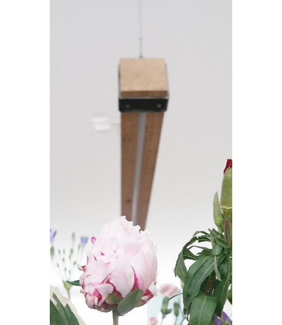 LED eikenhouten hanglamp - 120cm tot 200cm-  Dual White - 2700k - 6500k