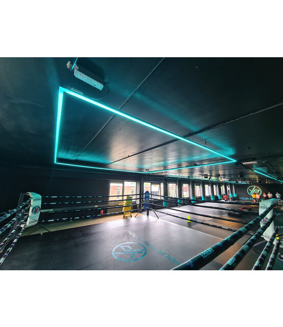 PRO LUMEN  RGBCCT LED strip LED 21W 2240LM 96LED p/m 24VDC IP20 - 10 meter