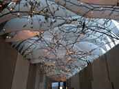 30 meter kerstverlichting - 300 LEDs - warm wit - IP44 waterdicht - PRO LUKSUS