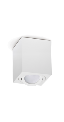 Opbouw armatuur - WIT-37L - kantelbaar