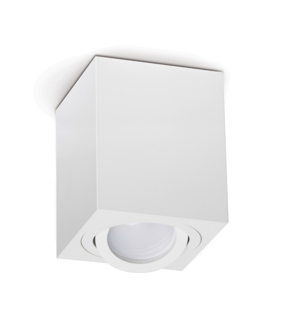 Opbouw armatuur - WIT-37L - kantelbaar