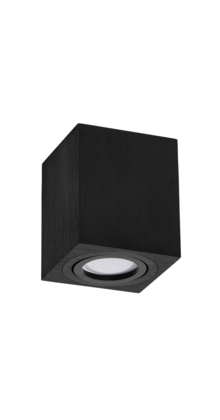 Opbouw armatuur - ZWART-37L - kantelbaar