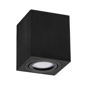 Opbouw armatuur - ZWART-37L - kantelbaar