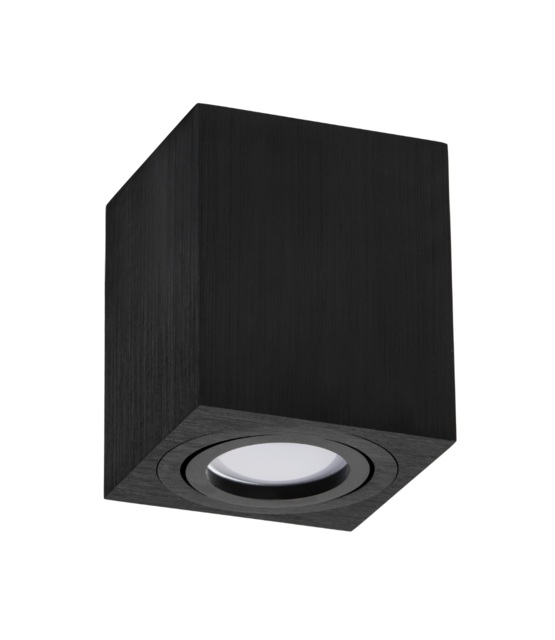 Opbouw armatuur - ZWART-37L - kantelbaar