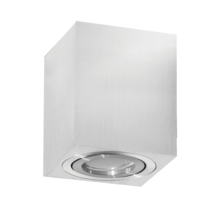 Opbouw armatuur - Chroom-37L - kantelbaar