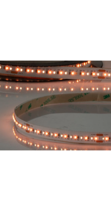 PRO LED strip dim to warm 20W 1100LM 120LED 24VDC IP20 CRI95 -  5 meter