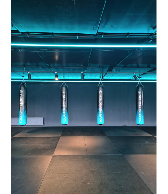 Waterdichte RGBCCT LED strip 21W 2240LM 96LED p/m 24VDC IP68 - 5 meter