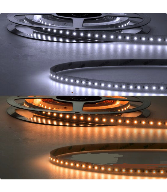 PRO LED strip dual white 3000K ~ 6000K 20W 1700LM 120LED p/m 24VDC IP20 - 5 meter