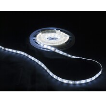 Waterdichte PRO LED strip 24 Volt 6000k koud wit 12W 1240lm/meter 128LED p/m IP68 CRI90 - 5 meter