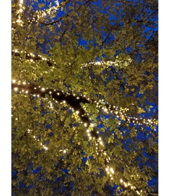 Boomverlichting warm wit 150 meter waterdicht 1500 LED - PRO - LUKSUS