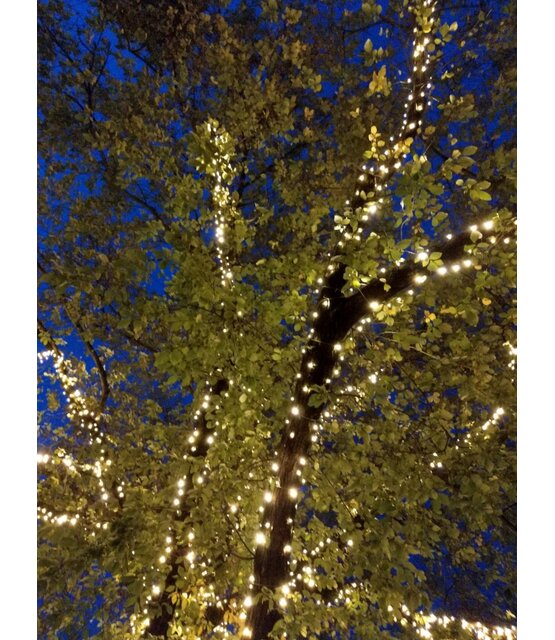 Boomverlichting warm wit 170 meter waterdicht 1700 LED - PRO - LUKSUS