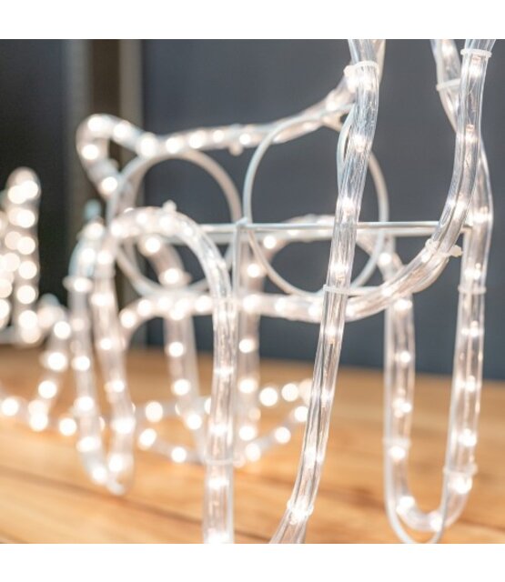 Arrenslee met rendier 2 delige set 120cm voor buiten! 324 LED - M