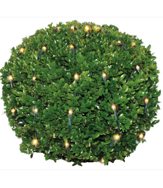 Buxus kerstverlichting 100 led warm wit - M