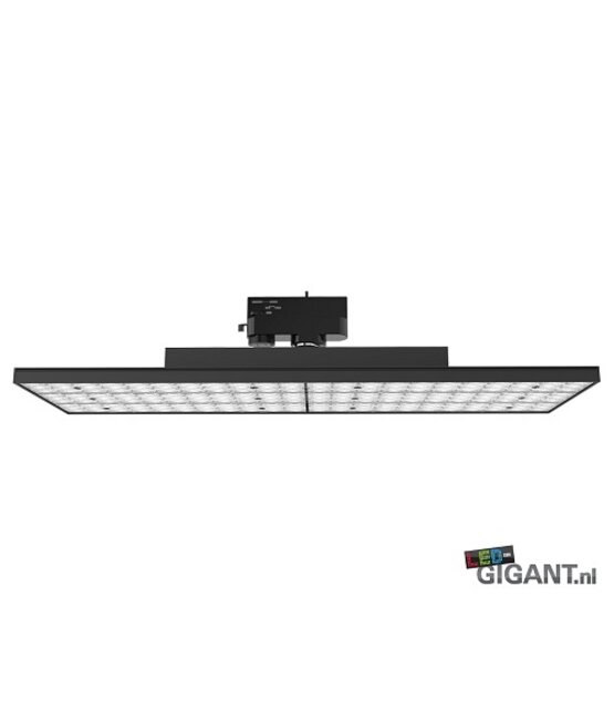 3- fase Trackline Valencia, zwart, Railline