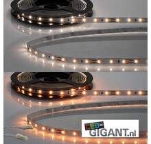 Plug and play LED strip – Dual white 1900-4000k 12v 9w CRI91 120LED p/m