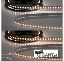 Plug and play LED strip – Dual white 1900-4000k 12v 15w CRI91 120LED p/m