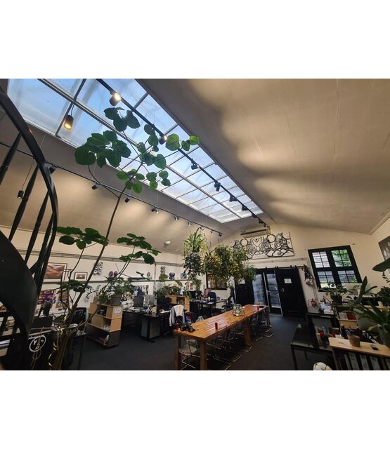 3- fase instelbare kleur temperatuur Trackspot Instelbaar, zwart, Railspot 10 watt