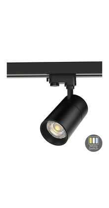 3- fase instelbare kleur temperatuur Trackspot Instelbaar, zwart, Railspot 30 watt
