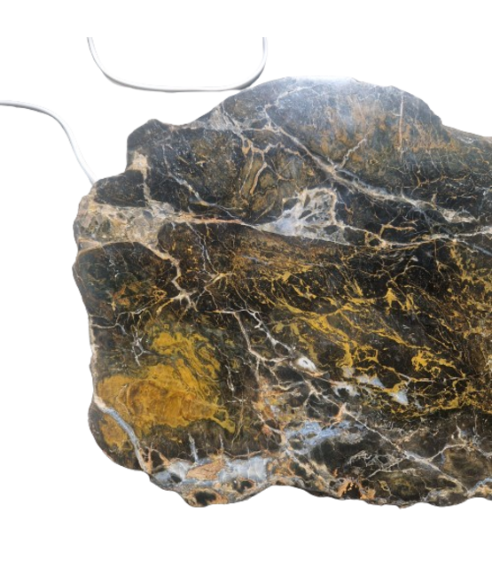 Versteend houten design lamp -  Dual White - 2700k - 6500k - #101