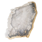 Versteend houten design lamp -  Dual White - 2700k - 6500k - #102