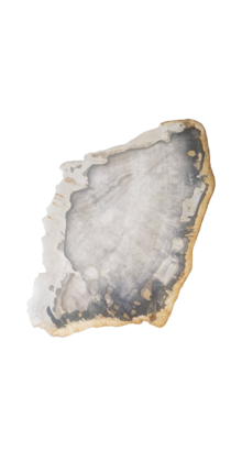 Versteend houten design lamp -  Dual White - 2700k - 6500k - #102