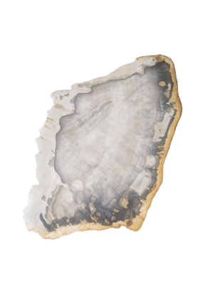 Versteend houten design lamp -  Dual White - 2700k - 6500k - #102